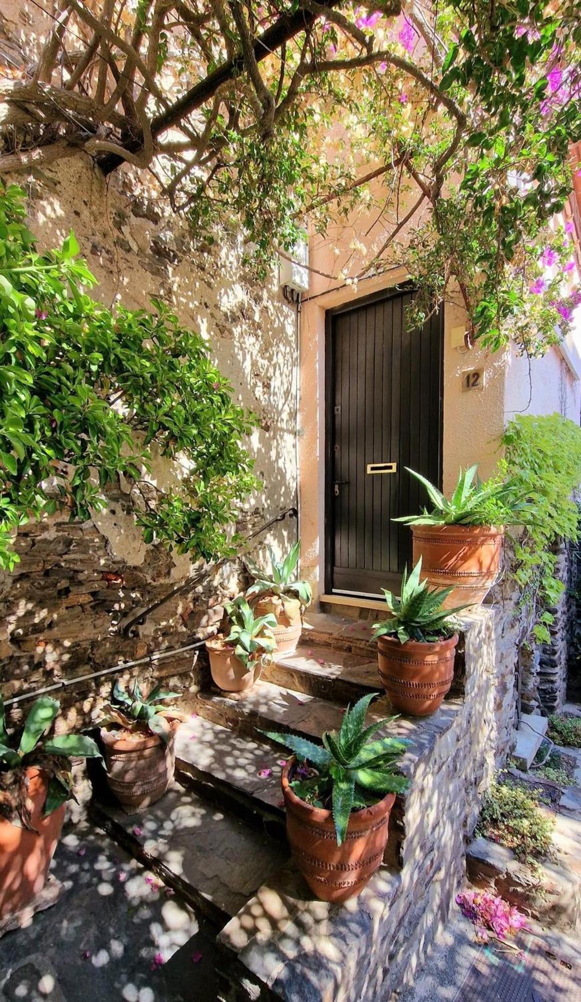 6Alz8 Appartement Pour 6 Personnes Collioure Buitenkant foto